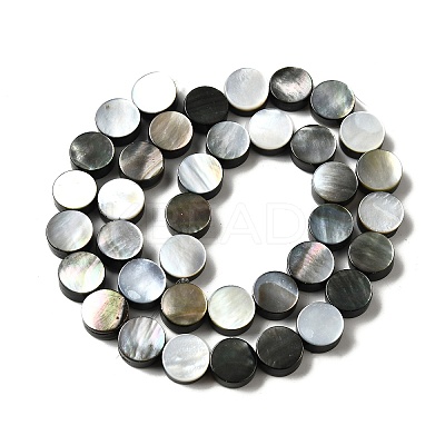Natural Black Lip Shell Beads Strands BSHE-D300-05-10mm-1