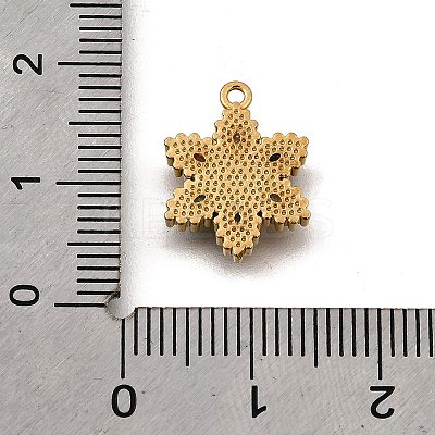 304 Stainless Steel Micro Pave Cubic Zirconia Pendants Charms STAS-K256-27G-02-1