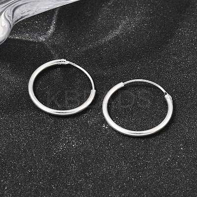 Brass Hoop Earrings EJEW-G474-01S-03-1
