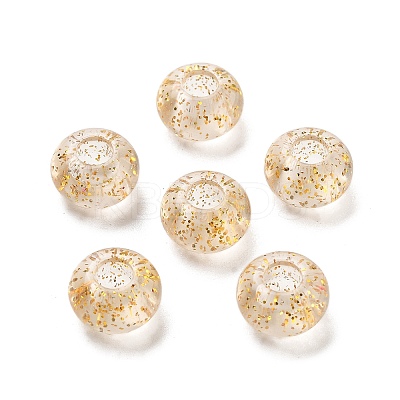 Transparent Acrylic European Beads TACR-P009-A01-03-1