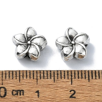 Tibetan Style Alloy Beads TIBEB-F065-01AS-02-1