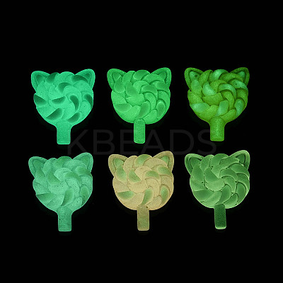 Luminous & Frosted Transparent Resin Cabochons X-RESI-T026-07M-1