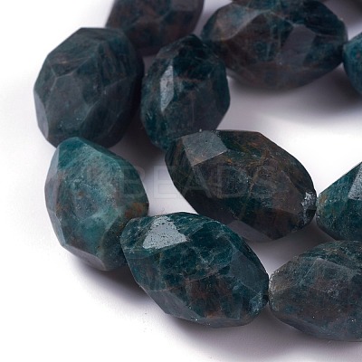 Faceted Natural Apatite Beads Strands G-H242-03-1