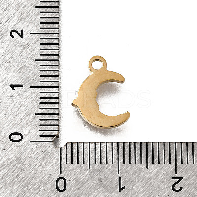 304 Stainless Steel Charms STAS-F318-07G-1