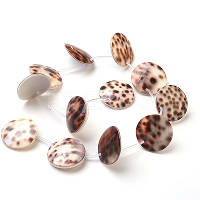 Tiger Cowrie Shell Beads Strands LS-BSHE-L037-11-1