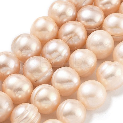 Natural Cultured Freshwater Pearl Beads Strands PEAR-C003-21D-1