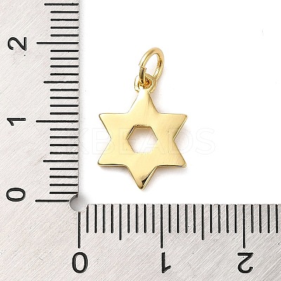 Rack Plating Brass Charms KK-D047-02G-1