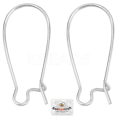50Pcs Brass Hoop Earring Findings KK-BBC0015-46B-1