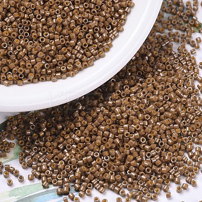 MIYUKI Delica Beads SEED-J020-DB0664-1