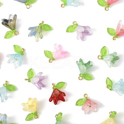 50Pcs Transparent Acrylic Pendants PALLOY-FS00043-02-1