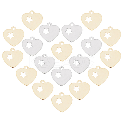 304 Stainless Steel Charms STAS-UN0019-21-1