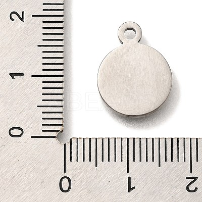 304 Stainless Steel Pendants STAS-S148-13P-1