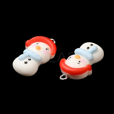 Opaque Resin Pendants RESI-R440-05-1
