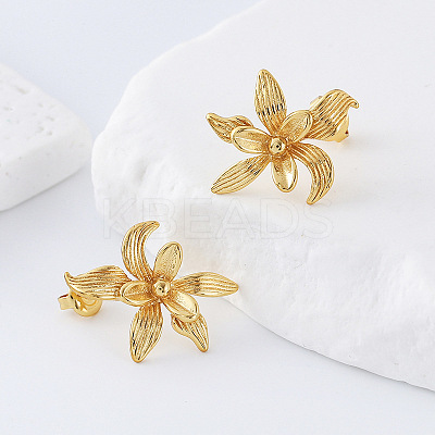 304 Stainless Steel Stud Earrings for Women DB8476-1