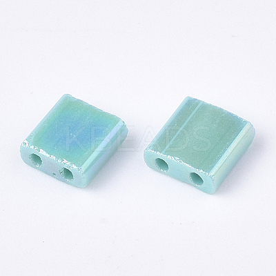 2-Hole Glass Seed Beads SEED-S023-19C-01-1