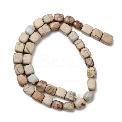Natural Shoushan Stone Beads Strands G-B155-D09-1