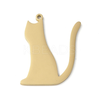 304 Stainless Steel Pendants STAS-E501-13G-1