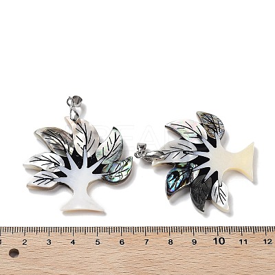 Natural Paua Shell & Black Lip Shell & White Shell Pendants FIND-A041-02D-P-1