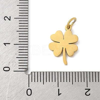 304 Stainless Steel Charms STAS-M120-07C-G-1