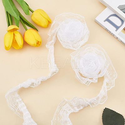 Polyester Lace Trim OCOR-WH0058-07B-1