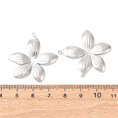 304 Stainless Steel Pendants STAS-A133-02C-P-1