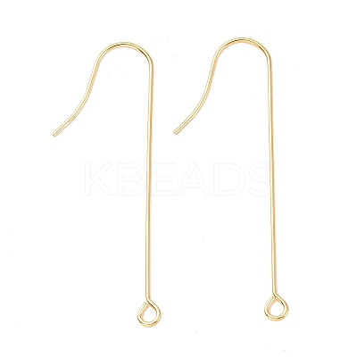 316 Surgical Stainless Steel Earring Hooks X-STAS-E027-02A-G-1