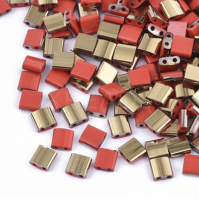 FGB 2-Hole Glass Seed Beads X-SEED-S031-L-045-G-1