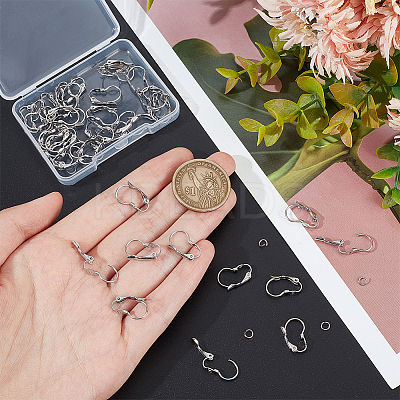 40Pcs 304 Stainless Steel Leverback Earring Findings STAS-UN0052-48-1
