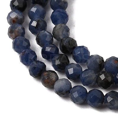 Natural Sodalite Bead Strands G-P279-58-3mm-01-1