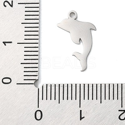 Non-Tarnish 304 Stainless Steel Charms LS-STAS-S138-01P-03-1