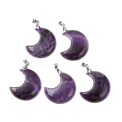 Natural Amethyst Pendants G-Z022-04C-01-1