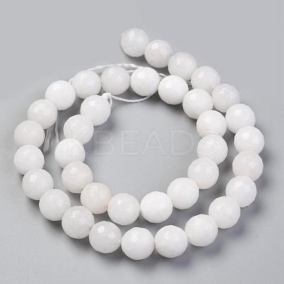 Natural Malaysia Jade Bead Strands G-F488-10mm-40-1