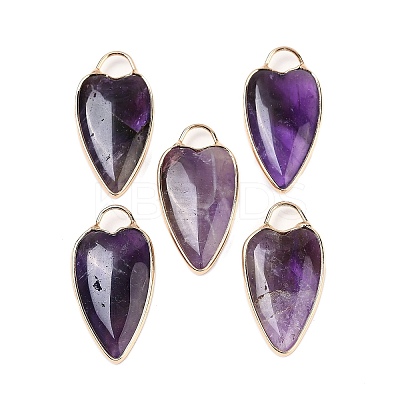 Natural Amethyst Pendants G-G193-02G-04-1