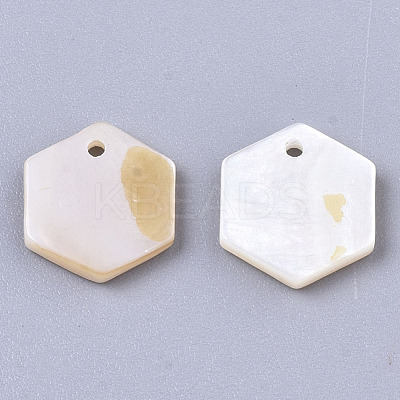 Natural Freshwater Shell Charms SHEL-R047-18-1