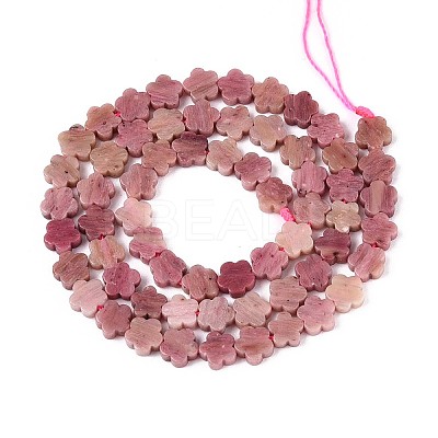 Natural Rhodonite Beads Strands G-N257-24A-09-1