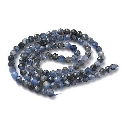 Natural Kyanite/Cyanite/Disthene Beads Strands G-L651-C02-4mm-1
