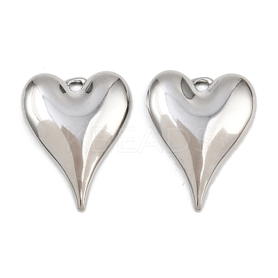 304 Stainless Steel Pendants STAS-L303-14P-1