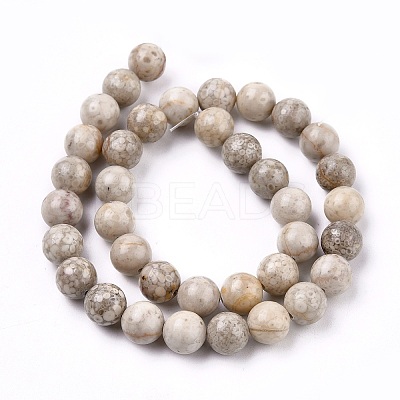 Natural Maifanite/Maifan Stone Beads Strands G-I187-10mm-01-1