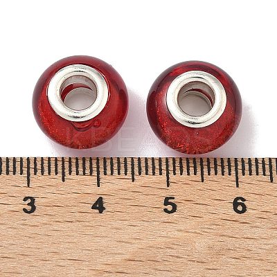 Large Hole Resin European Beads OPDL-R118-04B-1