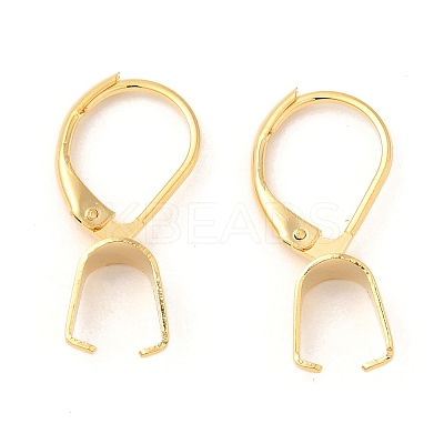 304 Stainless Steel Leverback Earring Findings Ion Plating(IP) STAS-U025-01G-02-1