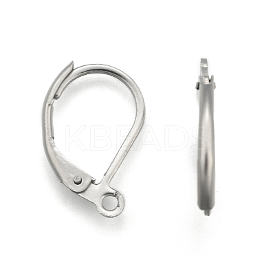 Tarnish Resistant Stainless Steel Color Tone 304 Stainless Steel Leverback Earring Findings X-STAS-E007-3-1