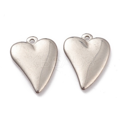 Non-Tarnish 304 Stainless Steel Pendants STAS-G244-23P-1