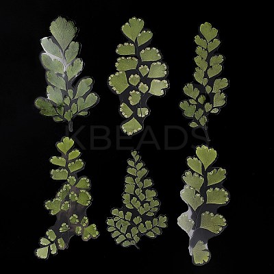 6Pcs Plant PET Adhesive Waterproof Stickers DIY-K074-01A-1