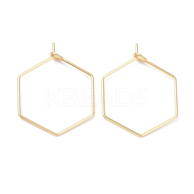 316 Stainless Steel Hoop Earring Findings STAS-K216-03A-G-1
