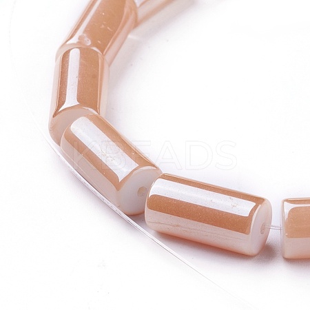 Electroplate Glass Beads Strands GLAA-L020-E02-1