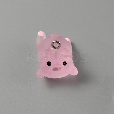 Luminous Translucent Resin Pendants RESI-SZC0004-01E-1