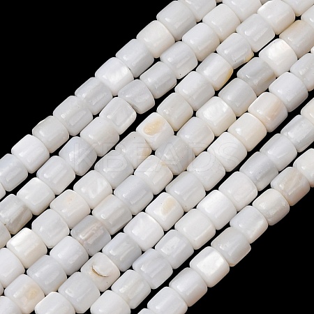 Natural Freshwater Shell Beads Strands SH-CBA2978-21C-1