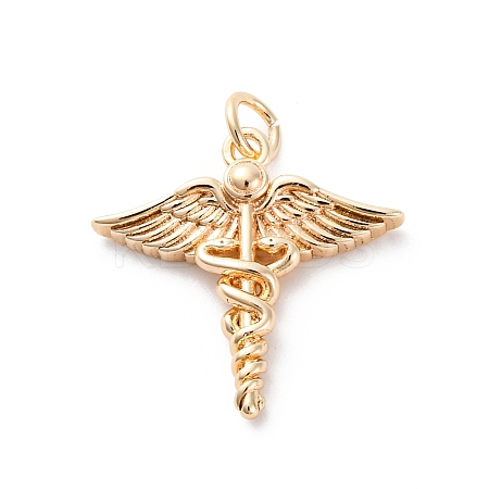 Brass Pendants KK-D360-16G-1