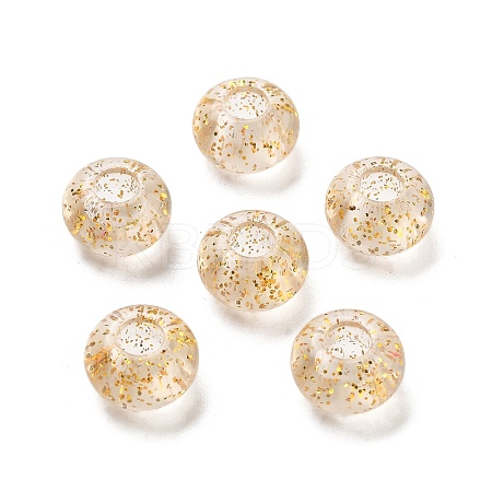 Transparent Acrylic European Beads TACR-P009-A01-03-1