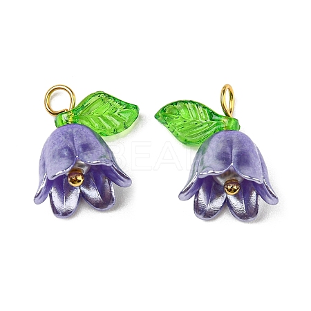 Acrylic Pendants LS-OACR-D012-01B-1